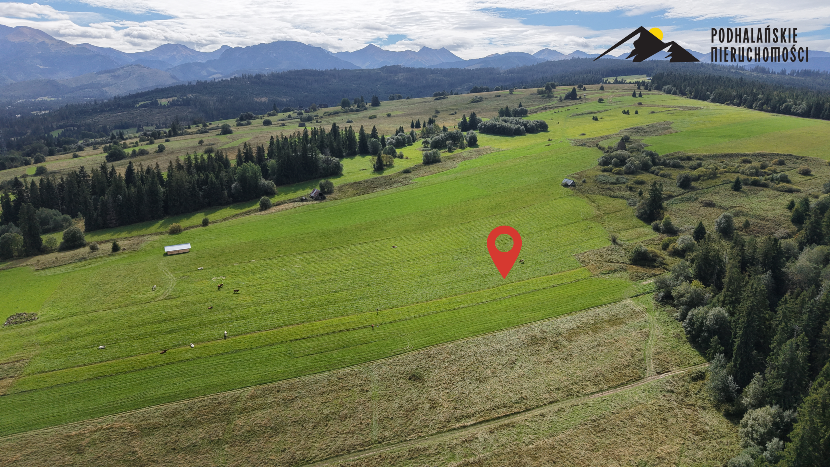 Działka w pięknej okolicy w Witowie